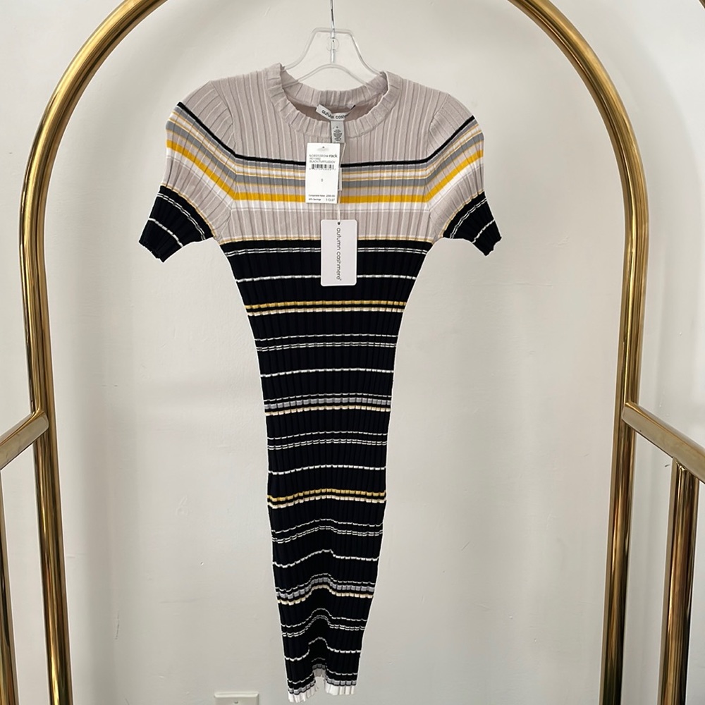 Autumn Cashmere | Rib Striped Dress
